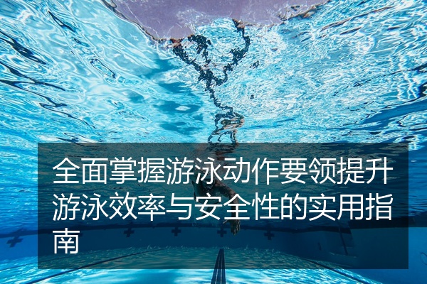 全面掌握游泳动作要领提升游泳效率与安全性的实用指南